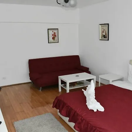 Unirii Studio Old Center Apartment